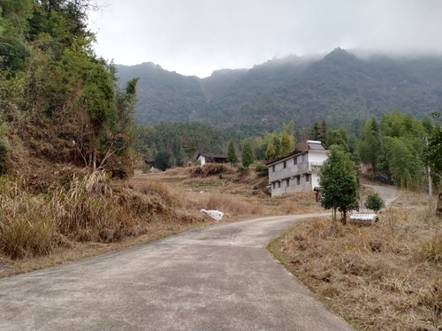 莲台山极乐寺