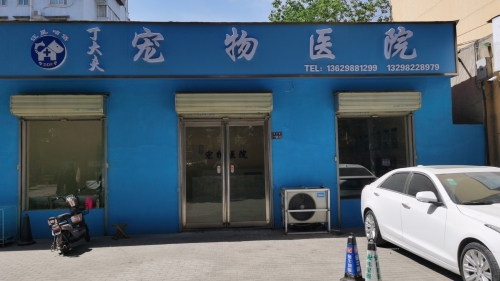 丁大夫宠物医院