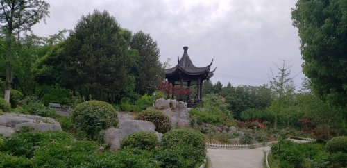 环城森林公园牡丹园