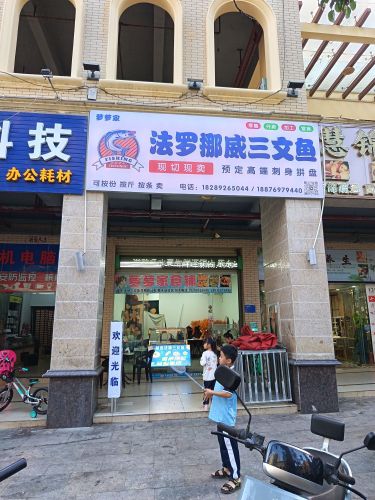 萝萝家法罗挪威三文鱼