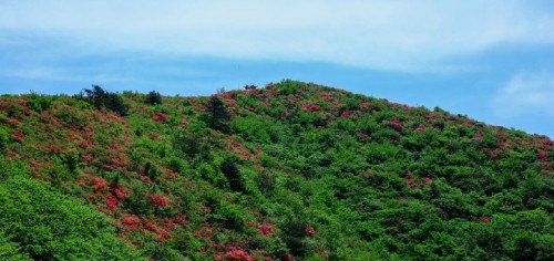 梅树底风景区