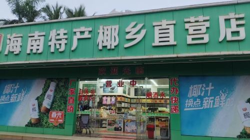春光海南特产椰乡直营店