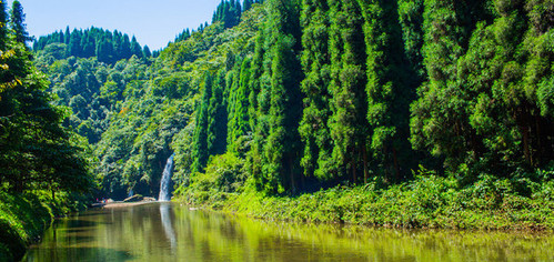 龙苍沟国家森林公园