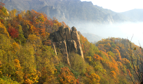 雾灵山风景区