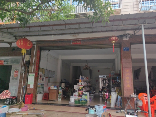 定安定城万兴农资店