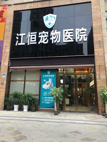 江恒宠物诊所
