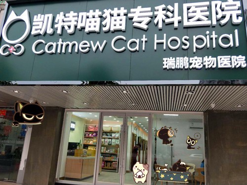 凯特喵猫专科医院