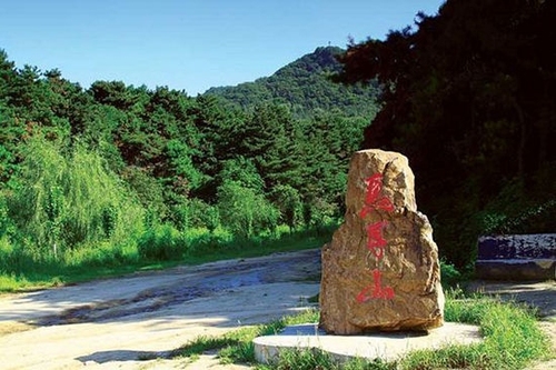 沈阳市苏家屯区经典路线推荐