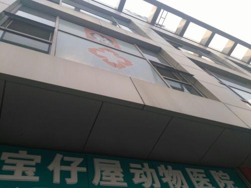 宝仔屋动物医院