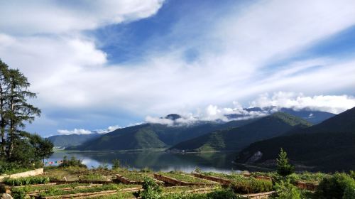 香格里拉高山植物园