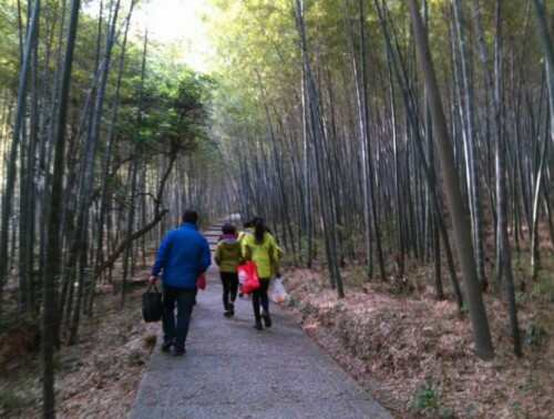 碧岩寺