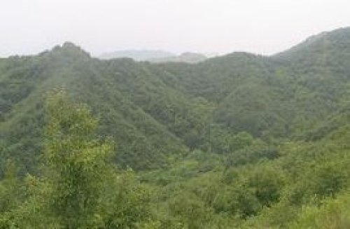 十八垛原始森林景区