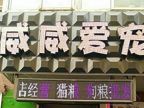 威威爱宠