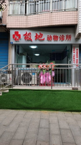极地动物诊所