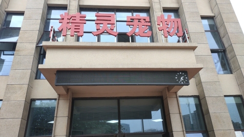 精灵宠物诊所24小时接诊