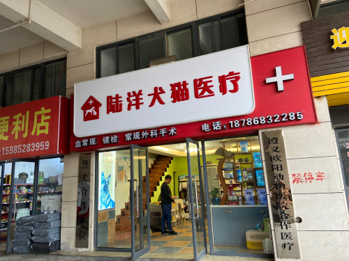 陆洋犬猫医疗