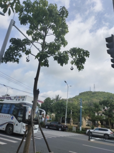 好兴旺便利店