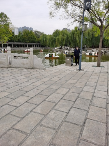 丛台公园-游船码头