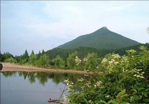 松阳卯山国家森林公园