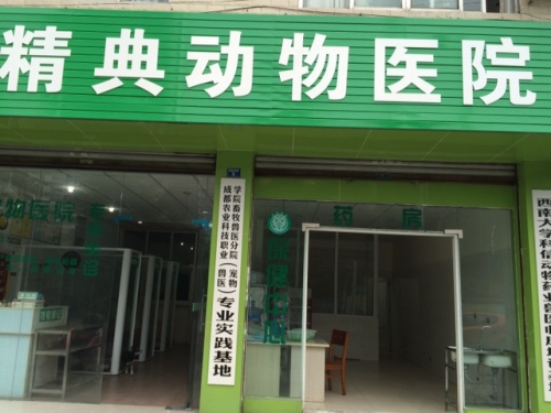 精典动物医院