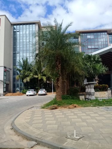 手拉手超市