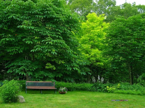 大武口区