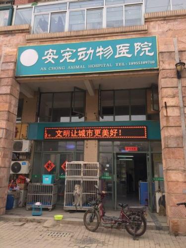 安宠动物医院(白鹭湖公馆店)