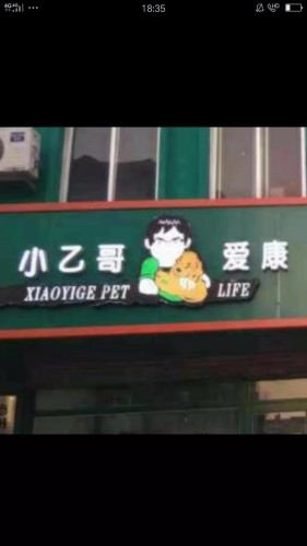 小乙哥爱康宠物医院