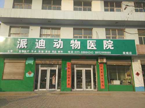 派迪动物医院