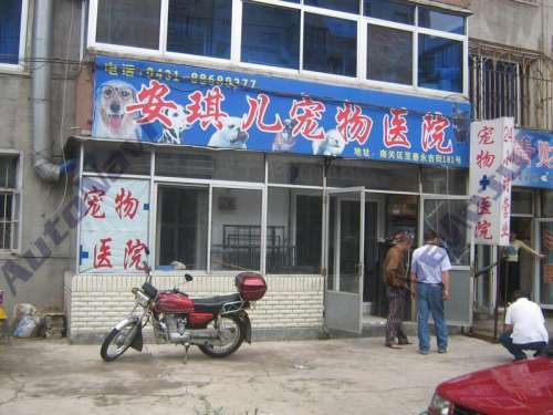 安琪儿动物诊所