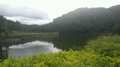 五指山热带雨林风景区售票处