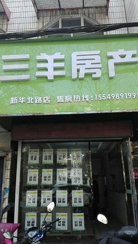 三羊房产(新华分店)