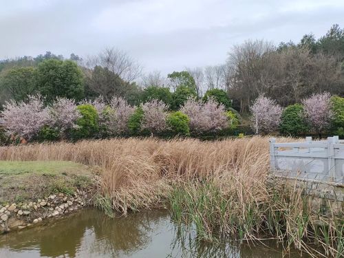 山水公园