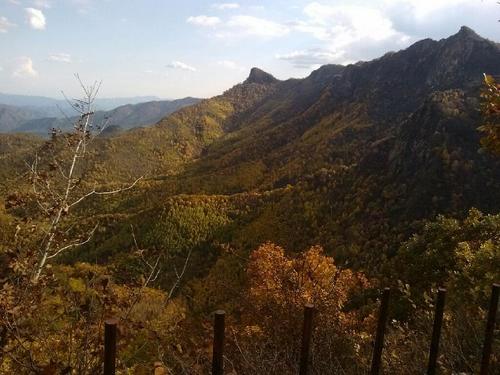 喇叭沟原始森林风景区