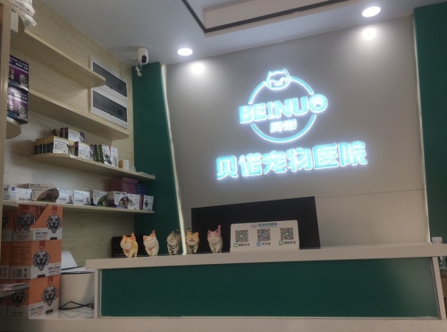 贝诺宠物医院(六约分院)