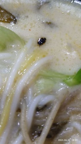 五谷渔粉(白沙店)
