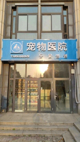 知行合一宠物医院