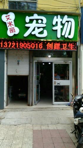 艾米丽宠物