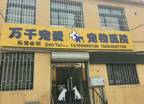 万千宠爱宠物医院