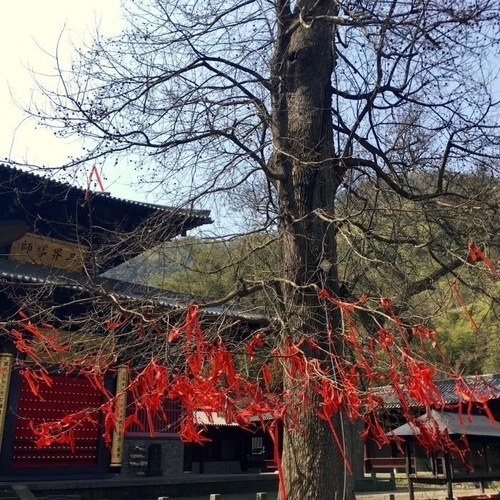 金峨禅寺