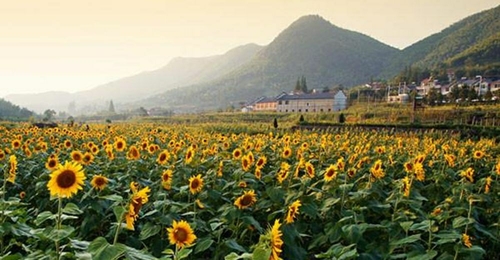 乡趣谷山野旅游度假区