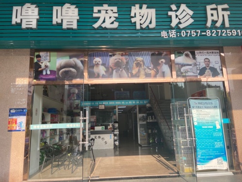 噜噜宠物诊所
