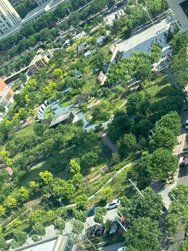 清河县泰山公园
