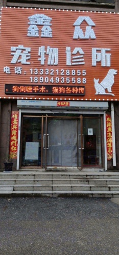 鑫众宠物诊所