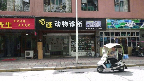 喵汪动物诊所