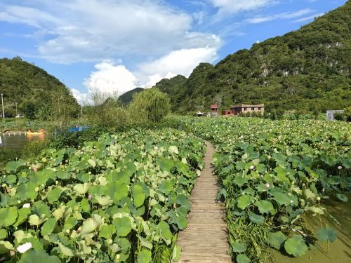 幺铺十里荷廊风景区