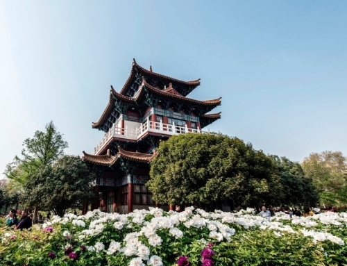 王府公园