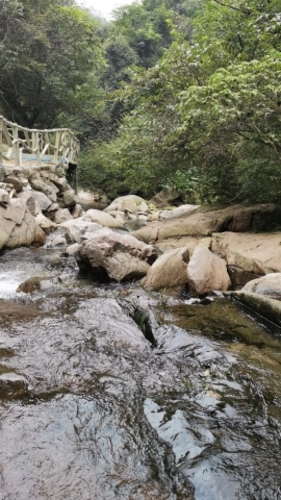 九华后海嘉鱼池景点