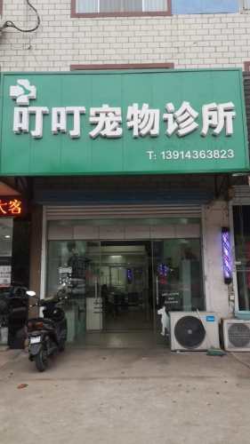 叮叮宠物诊所
