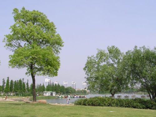 瑶海公园